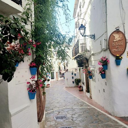 Precioso Y Acogedor Atico Old Town Apartment Marbella Luaran gambar