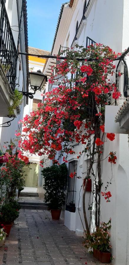 Precioso Y Acogedor Atico Old Town Apartment Marbella Luaran gambar