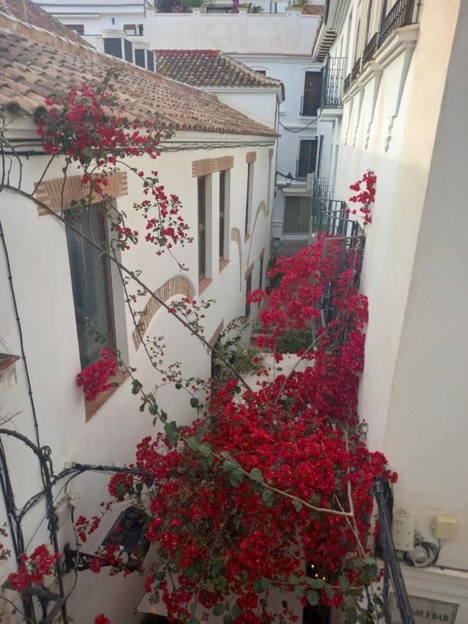 Precioso Y Acogedor Atico Old Town Apartment Marbella Luaran gambar